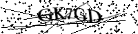 Por favor, escriba las letras y los números siguientes