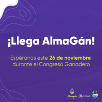 Conozca los beneficios de comprar por el gran Almacén Virtual Agropecuario – Almagán