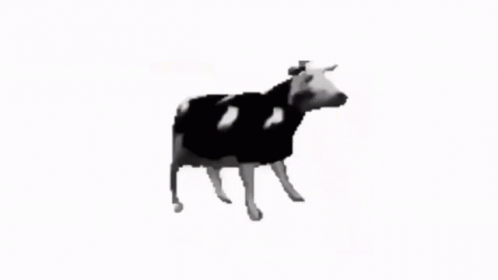 404